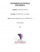 ENSAYO SOBRE VENTAJA COMPETITIVA