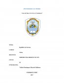 Ensayo de el Equilirio de fuerzas