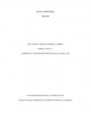 Ensayo COMERCIO Y NEGOCIOS INTERNACIONALES