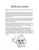Maltrato canino, mascotas en casa y los que no están dentro de una