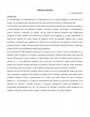 La psicopatología, sus manifestaciones y la importancia que se les otorga