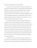 El nuevo Impacto de las empresas en el medio ambiente