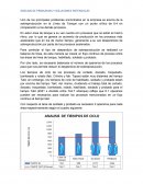 ANÁLISIS DE PROBLEMAS Y SOLUCIONES POTENCIALES