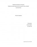 Plan de trabajo para los meses junio, julio, y agosto