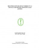 RECUPERACION DE ZONAS VERDES EN LA CIENAGA GRANDE DEL BAJO SINU (sector purísima)