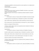 Un análisis de la república aristocrática y su impacto en la nación peruana