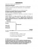 Claridad y coherencia interna de la elaboración y en la argumentación.