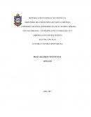 LA UNIVERSIDAD NACIONAL EXPERIMENTAL DE LA FUERZA ARMADA