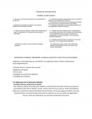 Ensayo sobre el Plan argumentado