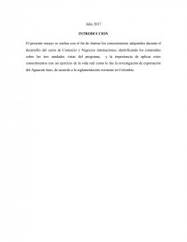 Ensayo COMERCIO Y NEGOCIOS INTERNACIONALES. Página 2