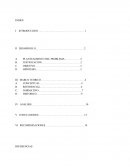 Trabajo final de investigacion