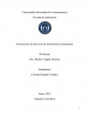 Gerencia de los Servicios de Enfermería Comunitaria