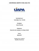 Cuales son las dificultades del lenguaje