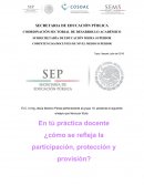 En tú práctica docente ¿cómo se refleja la participación, protección y provisión?