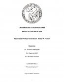 EL EMBARAZO ¿Cómo fue el embarazo en general? ¿El bebé fue esperado?