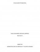 La evaluación financiera es importante porque evita el desperdicio de recursos en proyectos inviables financieramente