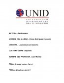 El nuevo Ensayo de American Beauty