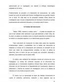 Validez del Instrumento