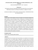 RETO INSTITUCIONAL AUDITORIA AMBIENTAL DEL CAMPUS UNIVERSITARIO – UNCP –HUANCAYO