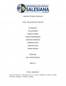 EVALUACIÓN DE VIALIDAD