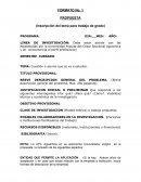 Cuestión o asunto que se va a estudiar