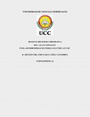 DISTRIBUIDORAS DE ENERGIA ELECTRICA EN NIC