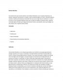 Que es la Bomba hidraulica