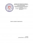 ENSAYO DERECHO MERCANTIL