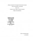 Gestión y Protección Ambiental