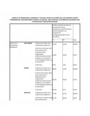 El rendimiento academico