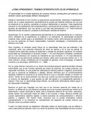 Cómo aprendemos?, Diferentes estilos de aprendizaje