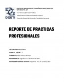 REPORTE DE PRACTICAS PROFESIONALES ESPECIALIDAD: Mecatrónica