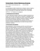 Vulcanología: Volcán Sabancaya-Arequipa