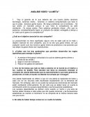 ANÁLISIS VIDEO “LA META”