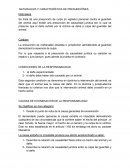 NATURALEZA Y CARACTERÍSTICA DE PRESUNCIÓNES