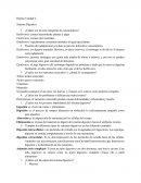 ¿Cuáles son las tres categorías de consumidores?