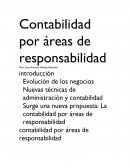 Contabilidad por áreas de responsabilidad. Evolución de los negocios