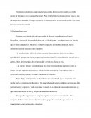 Aristóteles consideraba que la característica central de estos textos (todavía no había noción de literatura) era su carácter ficcional