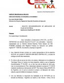 CARTA AMPLIACION DE PLAZO SEGADORA