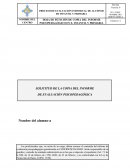 SOLICITUD DE LA COPIA DEL INFORME DE EVALUACIÓN PSICOPEDAGÓGICA