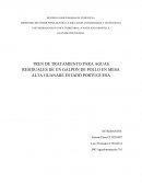 TREN DE TRATAMIENTO PARA AGUAS RESIDUALES DE UN GALPON DE POLLO EN MESA ALTA GUANARE ESTADO PORTUGUESA