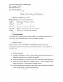 PROYECTO DE APLICACIÓN DE RIESGO