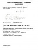 ANÁLISIS INGENIERIL DEL PROCESO DE MACERACION
