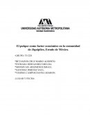 El pulque como factor económico en la comunidad de Jiquipilco