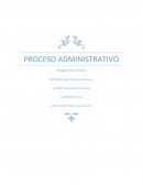 Proceso administrativo Derecho plan ejecutivo
