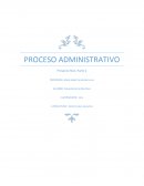 Proceso administrativo Derecho plan ejecutivo