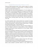 HIDROELÉCTRICAS EN GUATEMALA: BENEFICIO O DAÑO