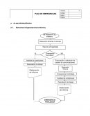 PLAN ESTRATÉGICO Estructura Organizacional (interna)