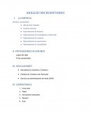 ANÁLISIS MICROENTORNO Y MACROENTORNO
