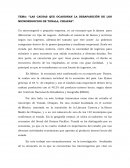 LAS CAUSAS QUE OCASIONAN LA DESAPARICIÓN DE LOS MICRONEGOCIOS DE TONALA, CHIAPAS